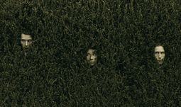 hedge fund faces in a bush 