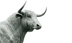 JP Morgan / Morgan Stanley Q2 results: Shareholders and bankers are sharing the pain so far