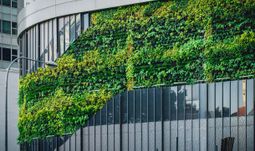 The new Singapore finance job with a bright future
