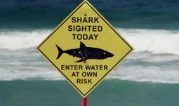 Think carefully before you quit your banking job for a hedge fund