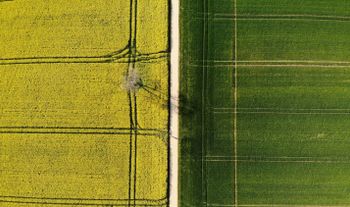 Two fields. The grass is greener in one.