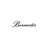 Burmester Audiosysteme GmbH