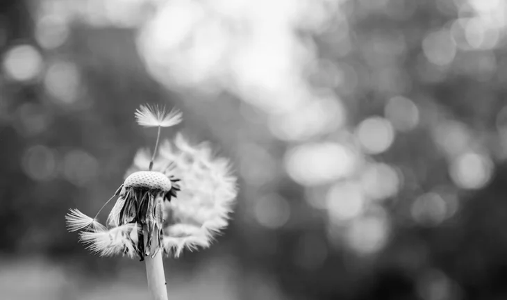 Credit Suisse equities business offered new lease of life after job cuts