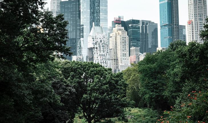 This is your pay at a multi-strategy hedge fund in New York City
