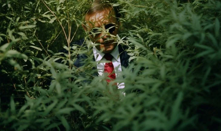 America's funniest quant is showcasing the best use of gardening leave