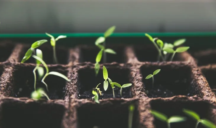 What do private equity funds do?