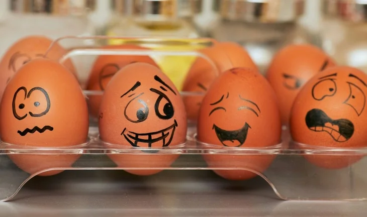 Female bankers want to get their eggs frozen. These are their options