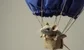 Barclays' ex-rates trading MD finally lands at BlueCrest 