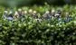 London's biggest new hedge fund employs 77 people and stopped hiring
