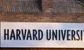 Yes, Citadel Securities made some advance internship offers to Harvard students 