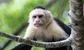 Citi's real issue now is its disgruntled US investment banking MDs 